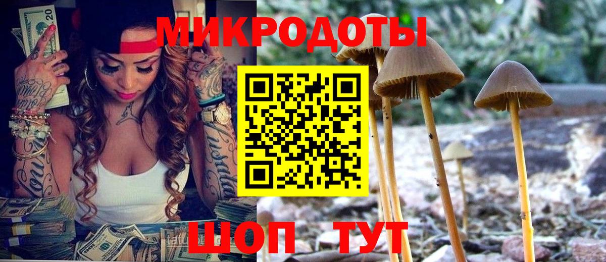 Галлюциногенные грибы Magic Shrooms  Вход с VPN  Казань 